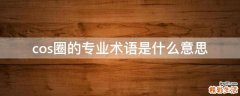 cos圈的专业术语是什么意思