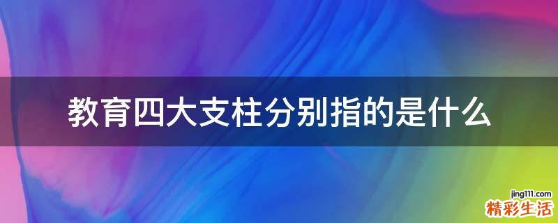 教育四大支柱分别指的是什么