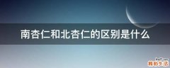 南杏仁和北杏仁的区别是什么