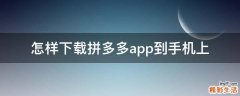怎样下载拼多多app到手机上