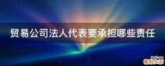 贸易公司法人代表要承担哪些责任