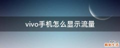 vivo手机怎么显示流量