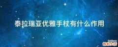 泰拉瑞亚优雅手杖有什么作用