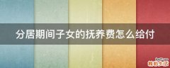 分居期间子女的抚养费怎么给付