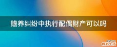 赡养纠纷中执行配偶财产可以吗