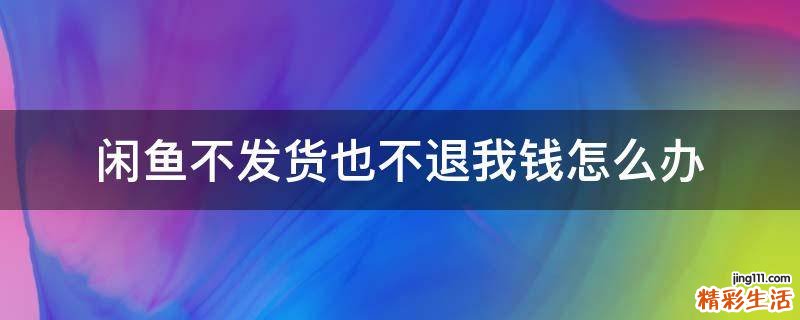 闲鱼不发货也不退我钱怎么办