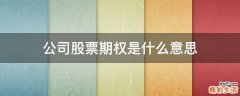 公司股票期权是什么意思