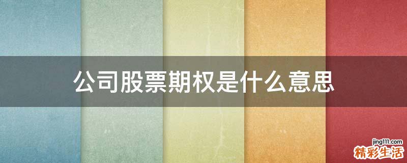 公司股票期权是什么意思