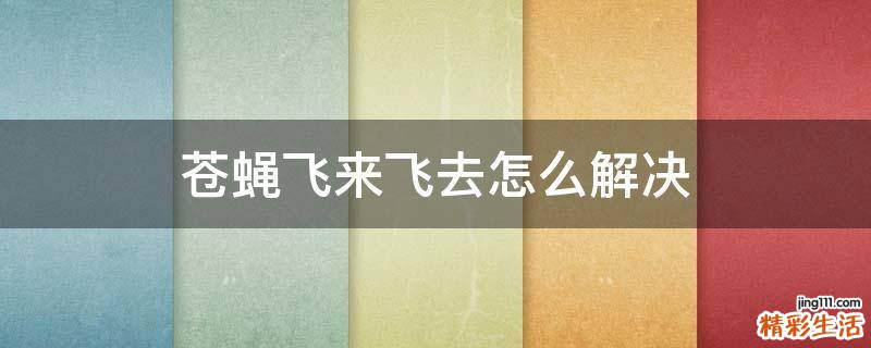 苍蝇飞来飞去怎么解决