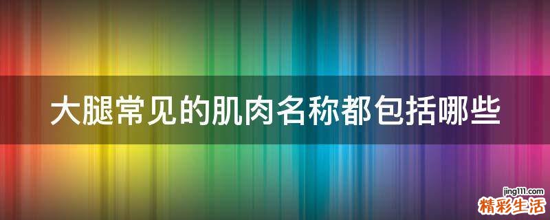 大腿常见的肌肉名称都包括哪些