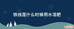铁线莲什么时候用水溶肥