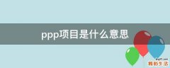 ppp项目是什么意思