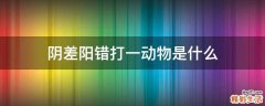 阴差阳错打一动物是什么