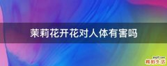 茉莉花开花对人体有害吗