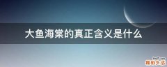 大鱼海棠的真正含义是什么