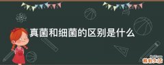 真菌和细菌的区别是什么
