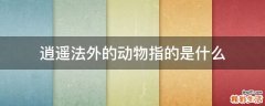 逍遥法外的动物指的是什么