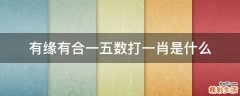 有缘有合一五数打一肖是什么