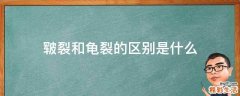 皲裂和龟裂的区别是什么