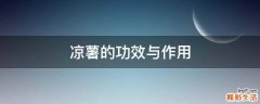 凉薯的功效与作用