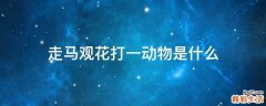 走马观花打一动物是什么