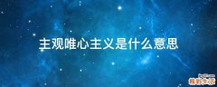 主观唯心主义是什么意思