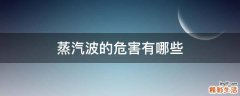 蒸汽波的危害有哪些