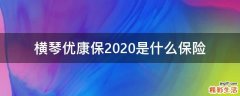 横琴优康保2020是什么保险
