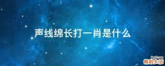 声线绵长打一肖是什么