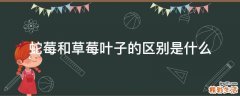 蛇莓和草莓叶子的区别是什么