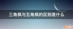 三角枫与五角枫的区别是什么