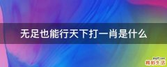无足也能行天下打一肖是什么
