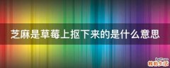 芝麻是草莓上抠下来的是什么意思