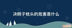 决明子枕头的危害是什么