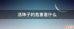 活珠子的危害是什么