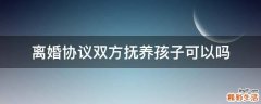 离婚协议双方抚养孩子可以吗