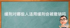 缓刑对哪些人适用缓刑会被撤销吗