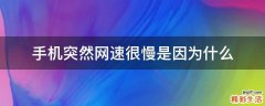 手机突然网速很慢是因为什么