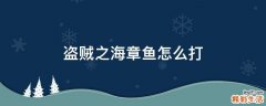 盗贼之海章鱼怎么打