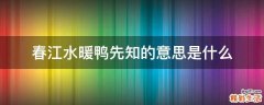 春江水暖鸭先知的意思是什么