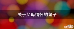 关于父母情怀的句子