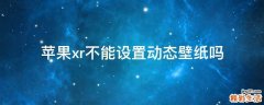 苹果xr不能设置动态壁纸吗