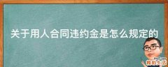 关于用人合同违约金是怎么规定的