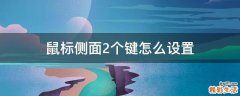 鼠标侧面2个键怎么设置