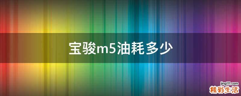 宝骏m5油耗多少