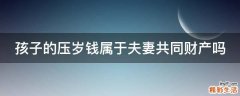 孩子的压岁钱属于夫妻共同财产吗