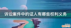 诉讼案件中的证人有哪些权利义务