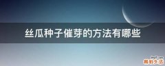 丝瓜种子催芽的方法有哪些