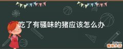 吃了有骚味的猪应该怎么办