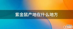 紫金鼠产地在什么地方